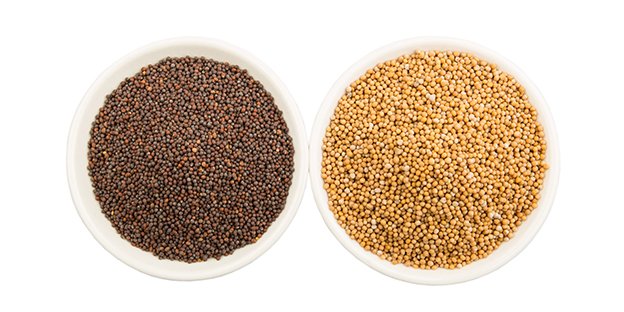 Mustard Seeds